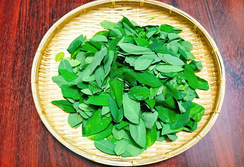 Chữa tiểu đêm bằng rau ngót